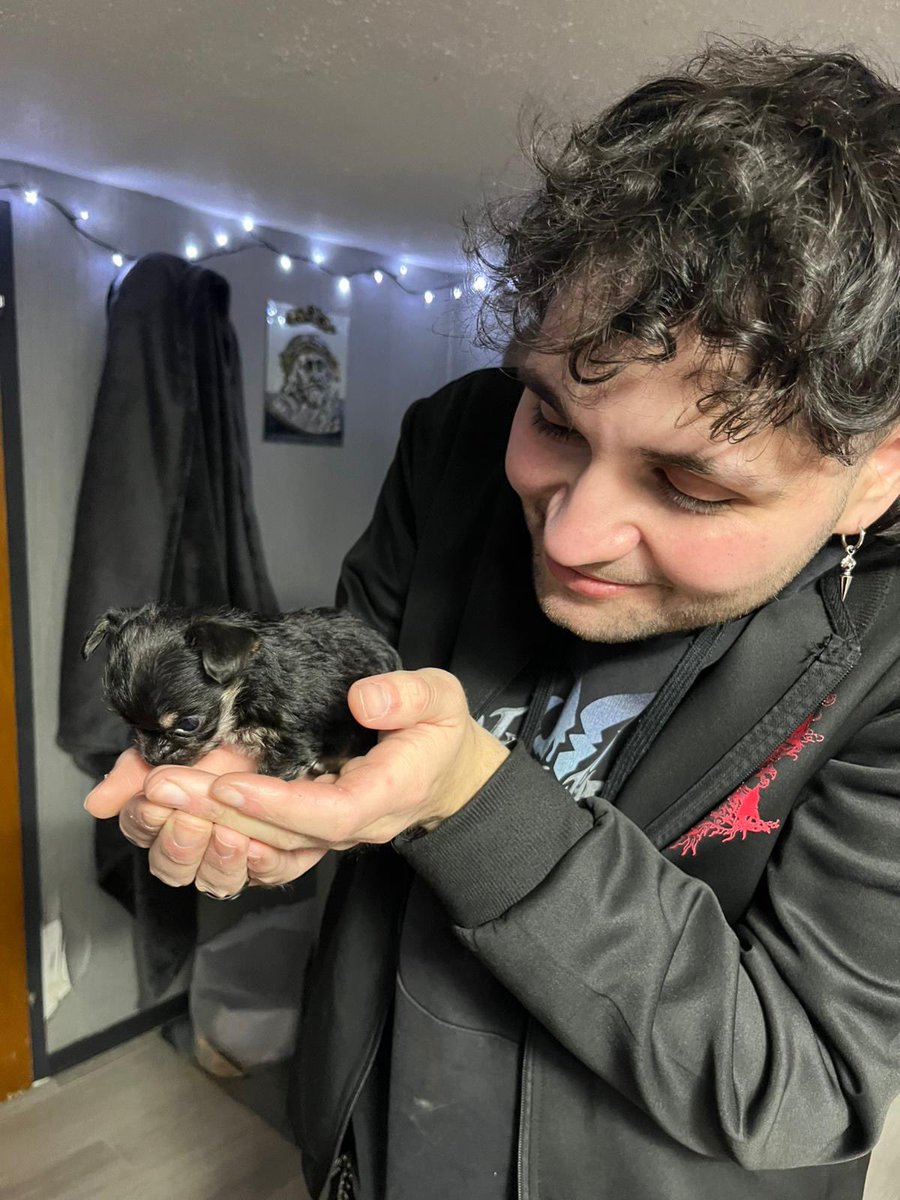 Shin 愛 tweet media