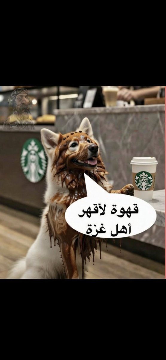 Julia 🍪🎀 tweet media