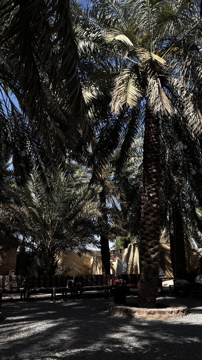 𝖬𝗎𝗇𝖺 tweet media