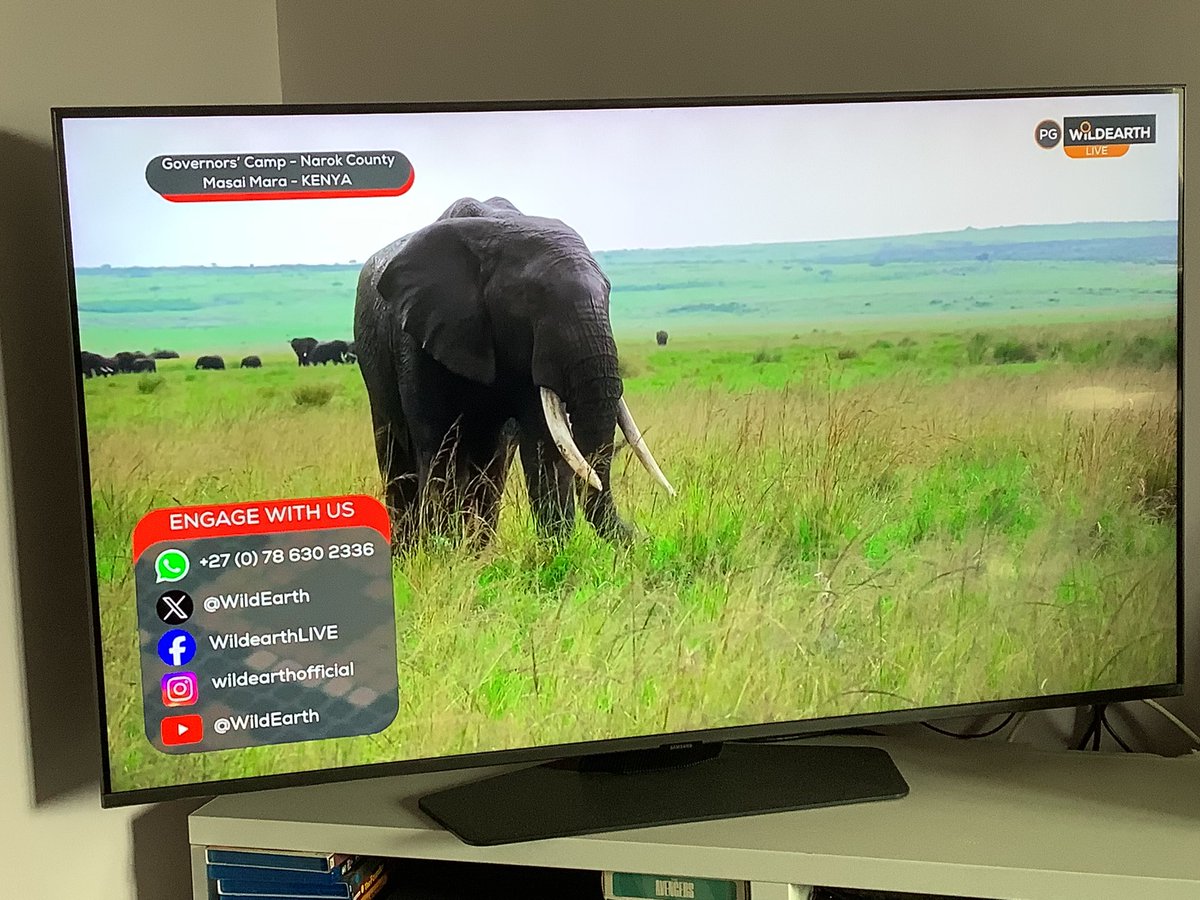 Robin ❄️ tweet media