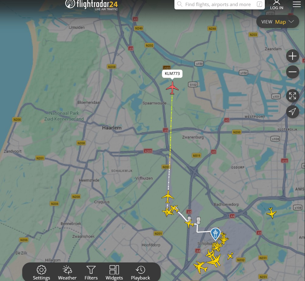 Yama 🌴 tweet media