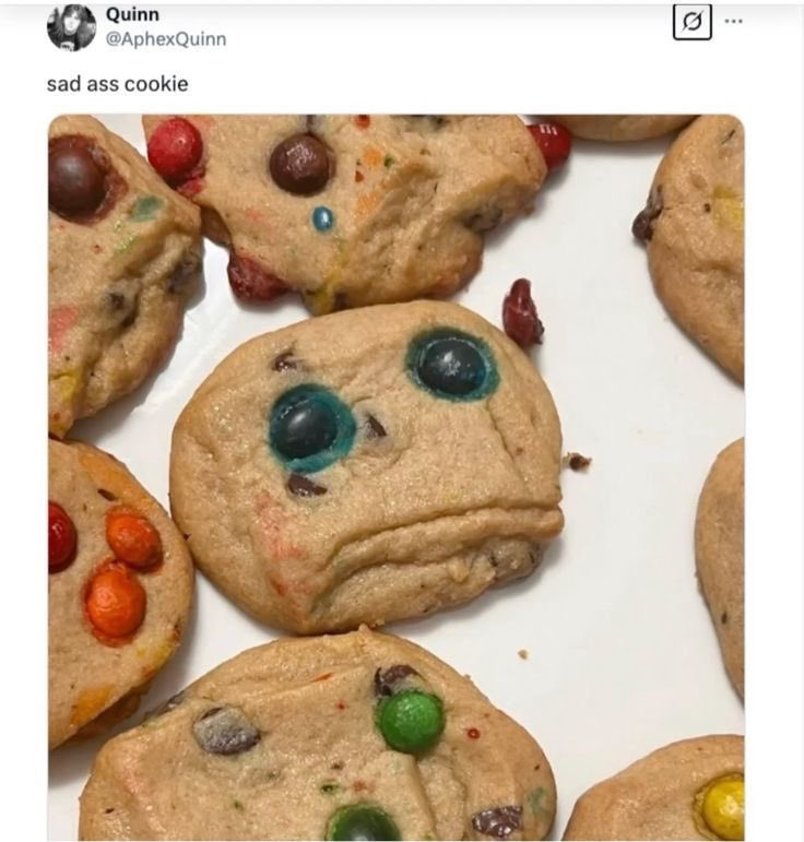 kit 🐾 the pitt spoilers tweet media