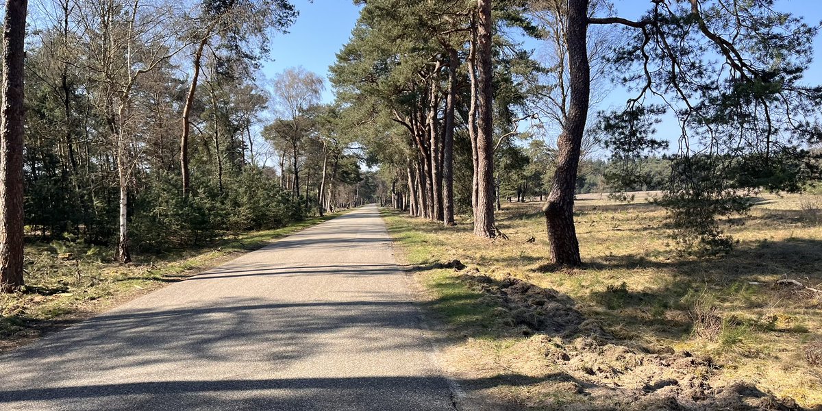 Friso Geerlings tweet media