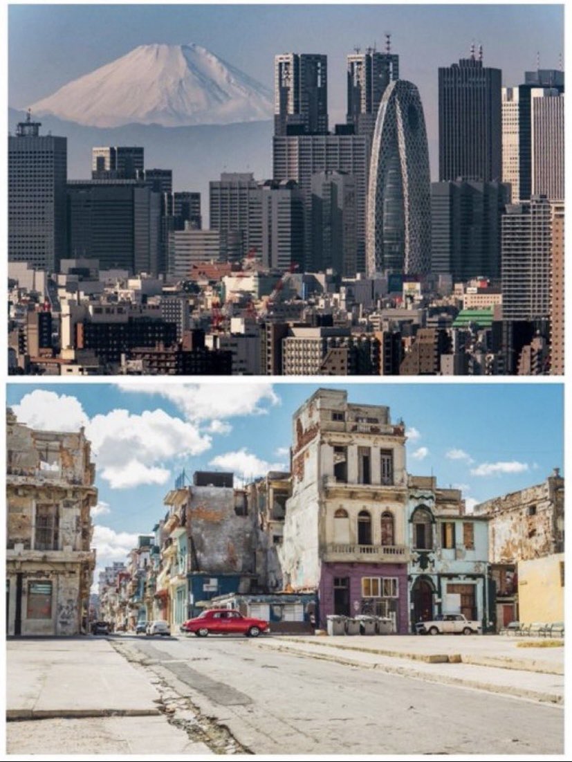 Le_patriote13 tweet media