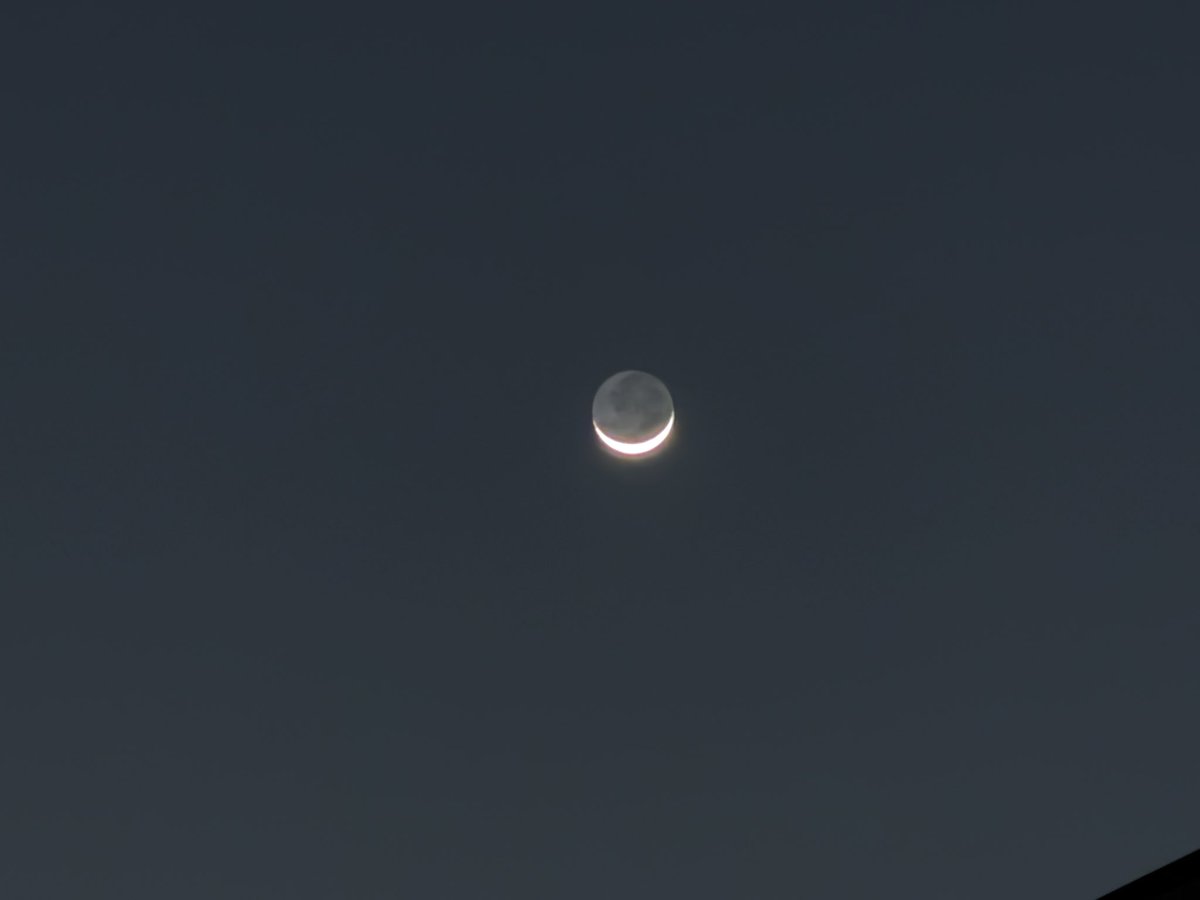 ACCN｜矢崎飛鳥 tweet media