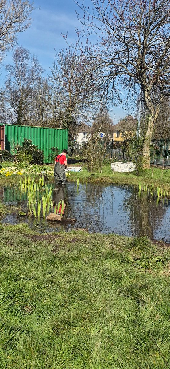 Togher Community Garden tweet media