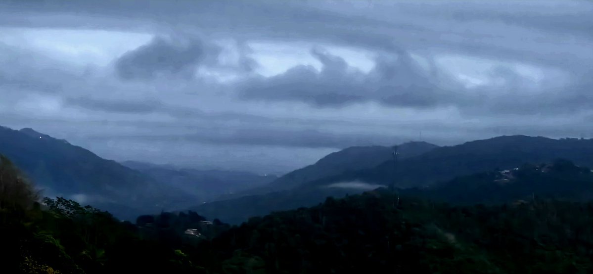 Norma Ortiz Rodriguez tweet media