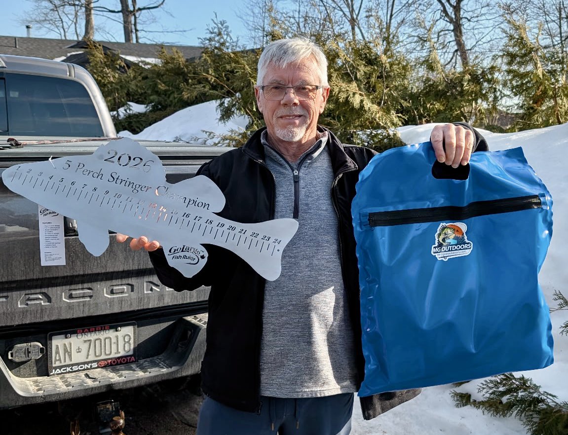 David Chong tweet media