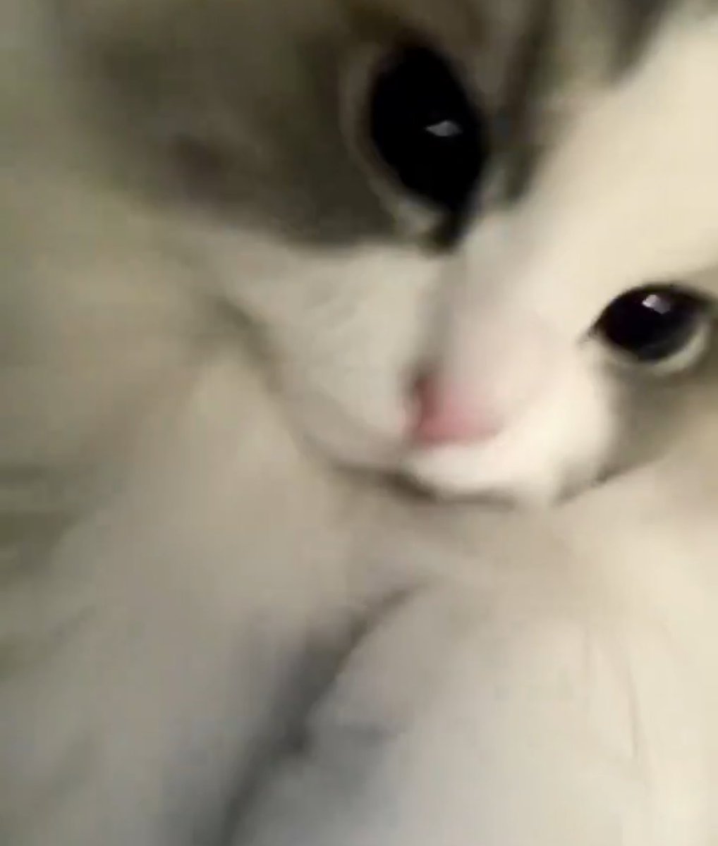 NJM FILE tweet media