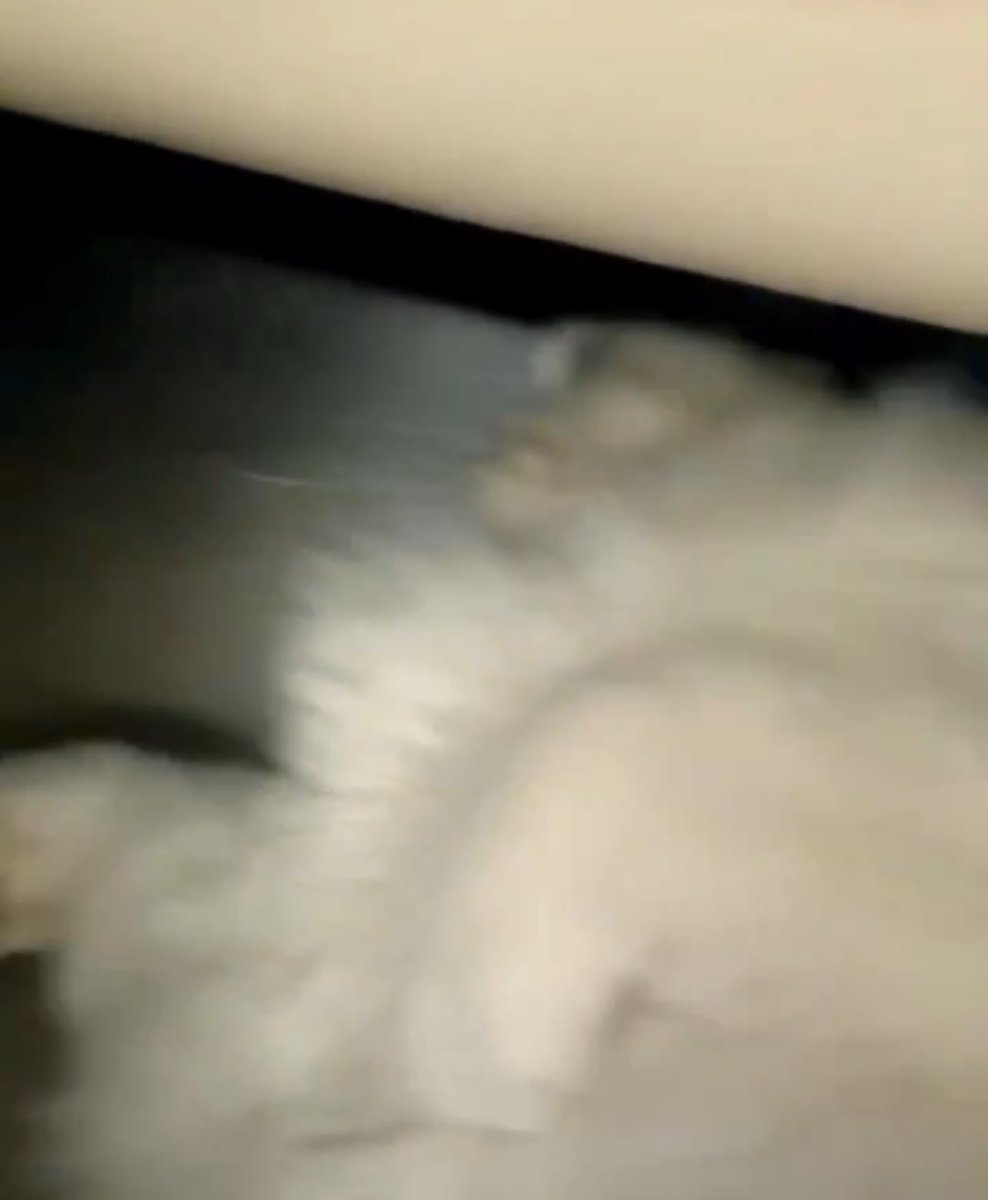 NJM FILE tweet media