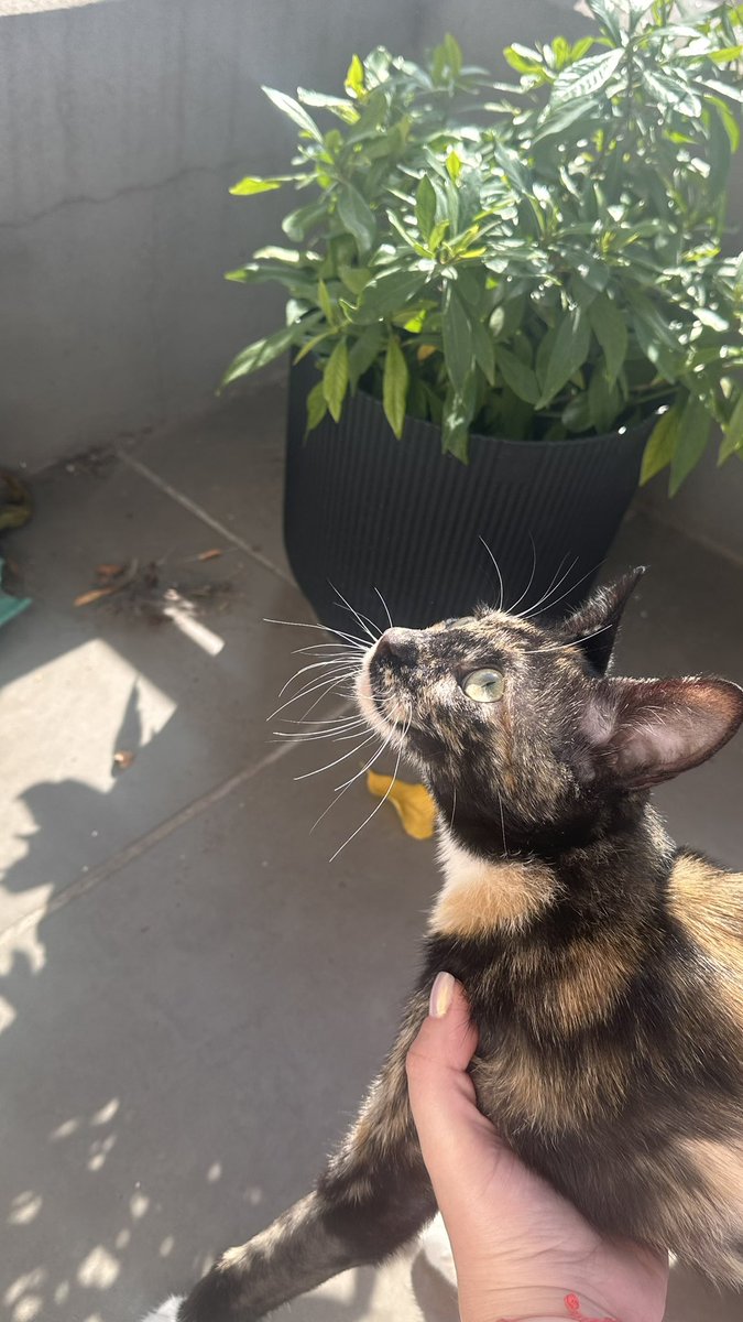 🧸 ✮ Agustina. ✮ 🚜🇦🇷 tweet media