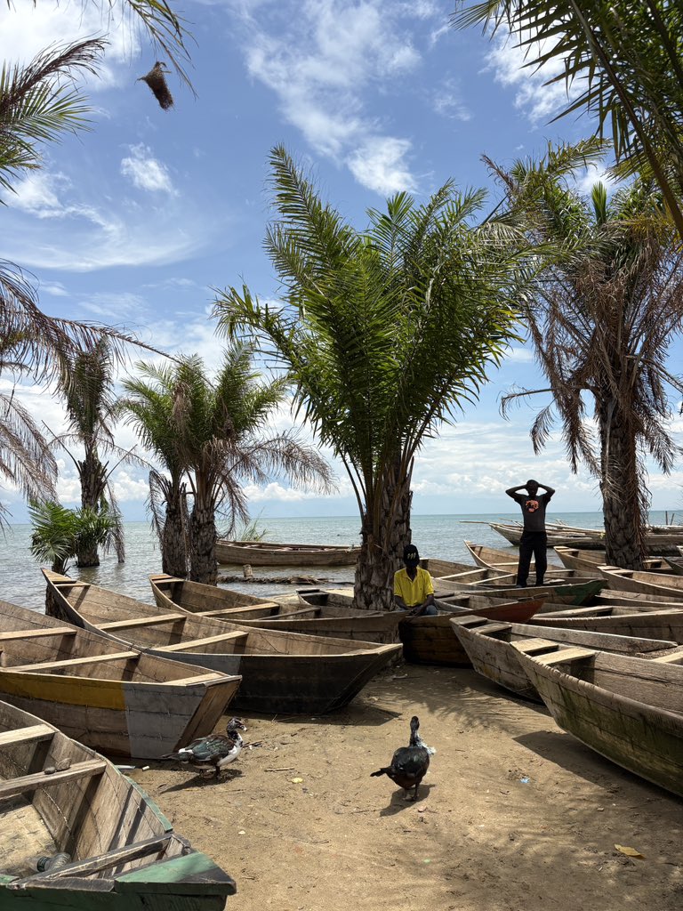 Mina Ghorbani tweet media