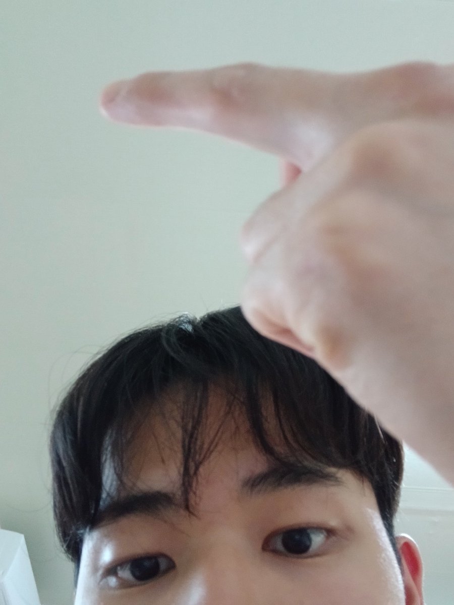 김밥지옥 tweet media