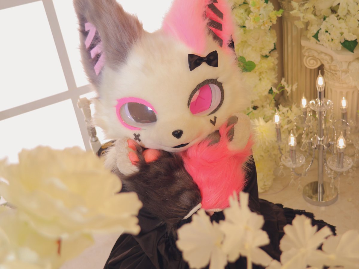 힛키🧊🧊 tweet media