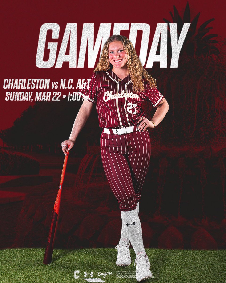 Charleston Softball tweet media