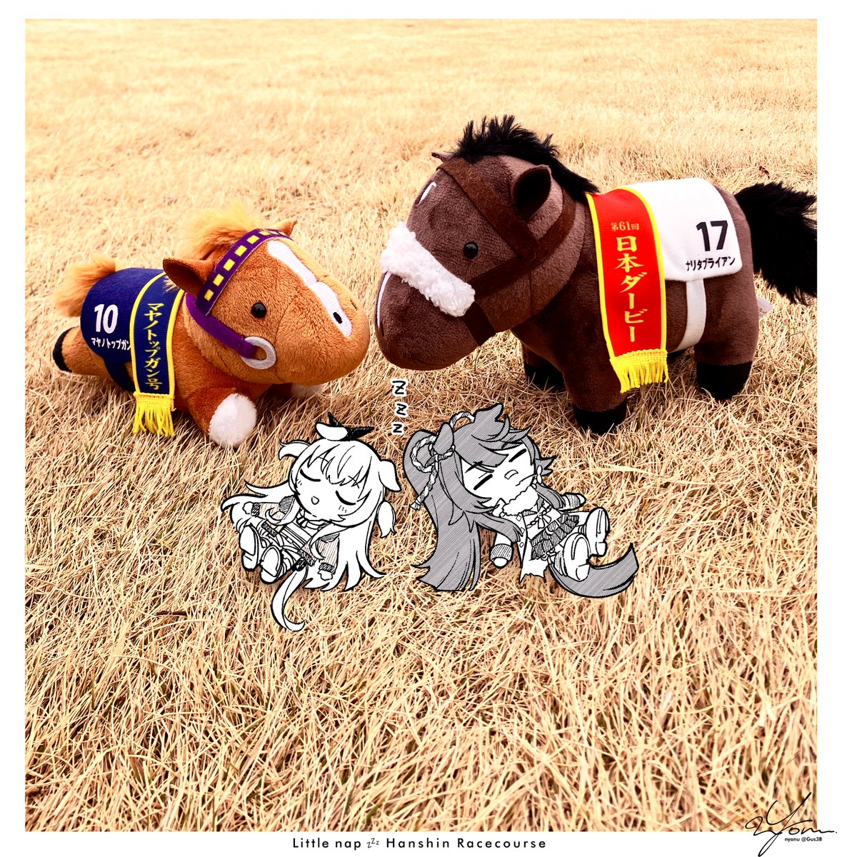 よぬりめ tweet media