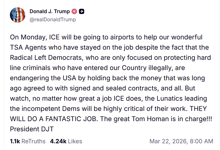 Oliya Scootercaster 🛴 tweet media