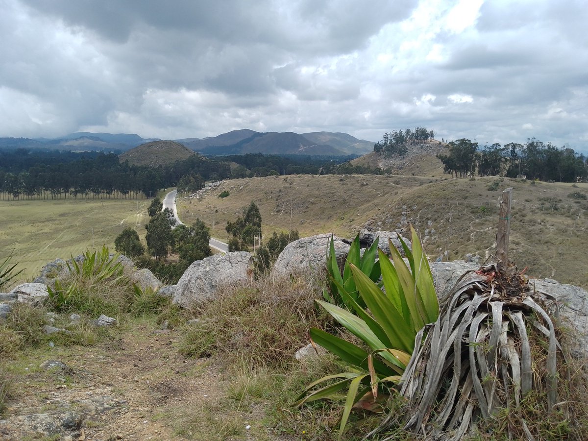 El Pandemonium tweet media