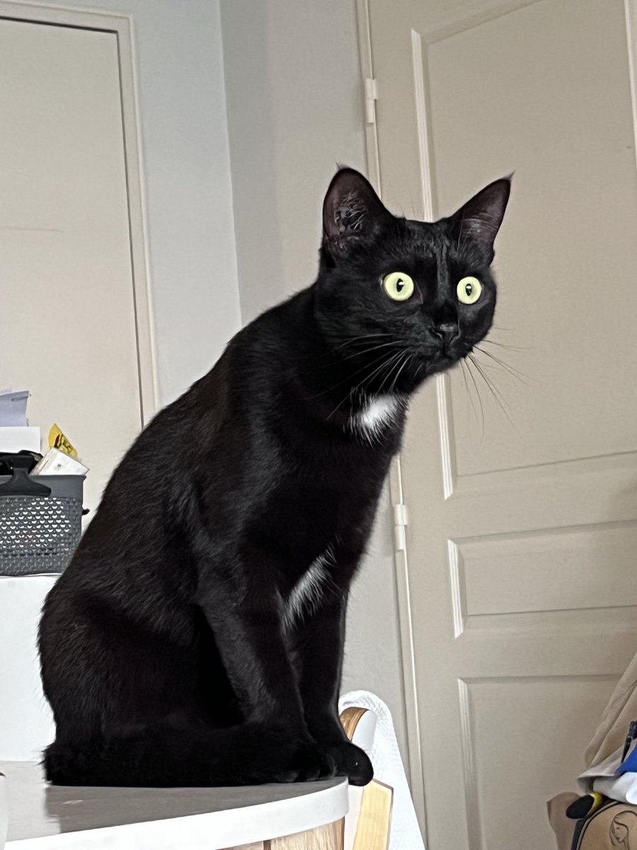 Dark pinpiiin 🐰 tweet media