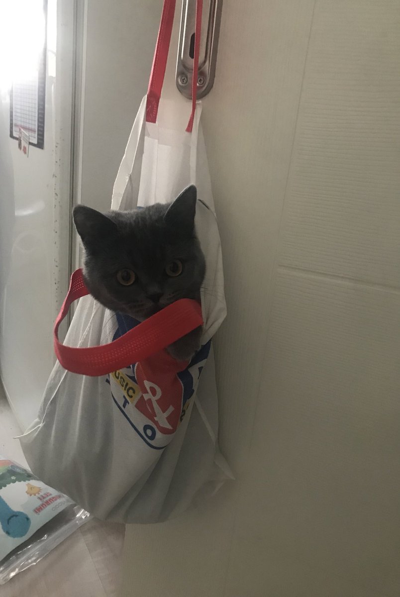 Böyle degişik seyler seviyoruz