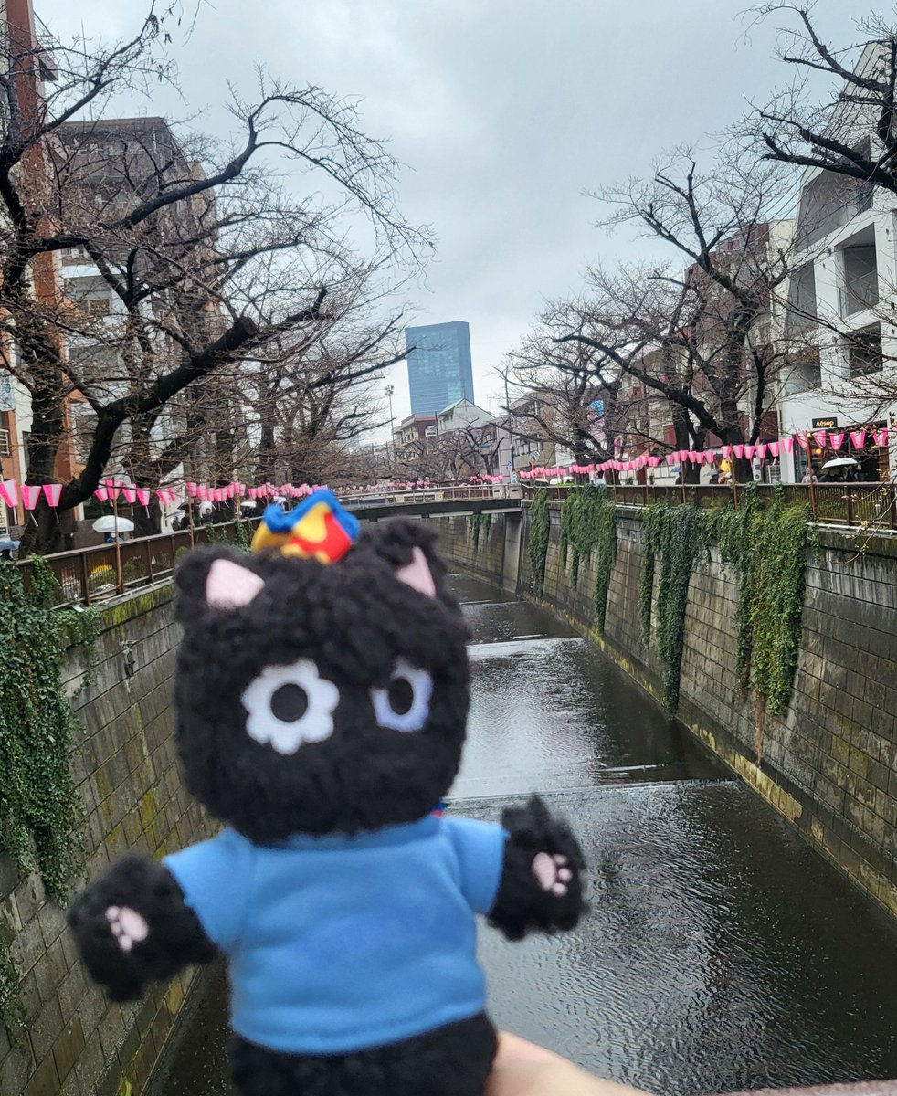 tenpon1001's tweet photo. 推し活 代官山編Part2
最近日本に来てた時の目黒川byInstagramとFCコンテンツのNumberSugar🍬
☔️でも歩いたぜ👍
#TENLEE #tenlee_1001 #NumberSugar #目黒川 https://t.co/Z8cdg4v7ff