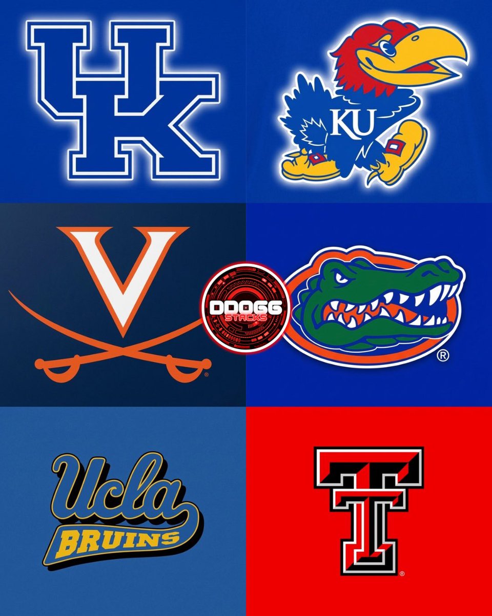 DDOGG🐶 tweet media