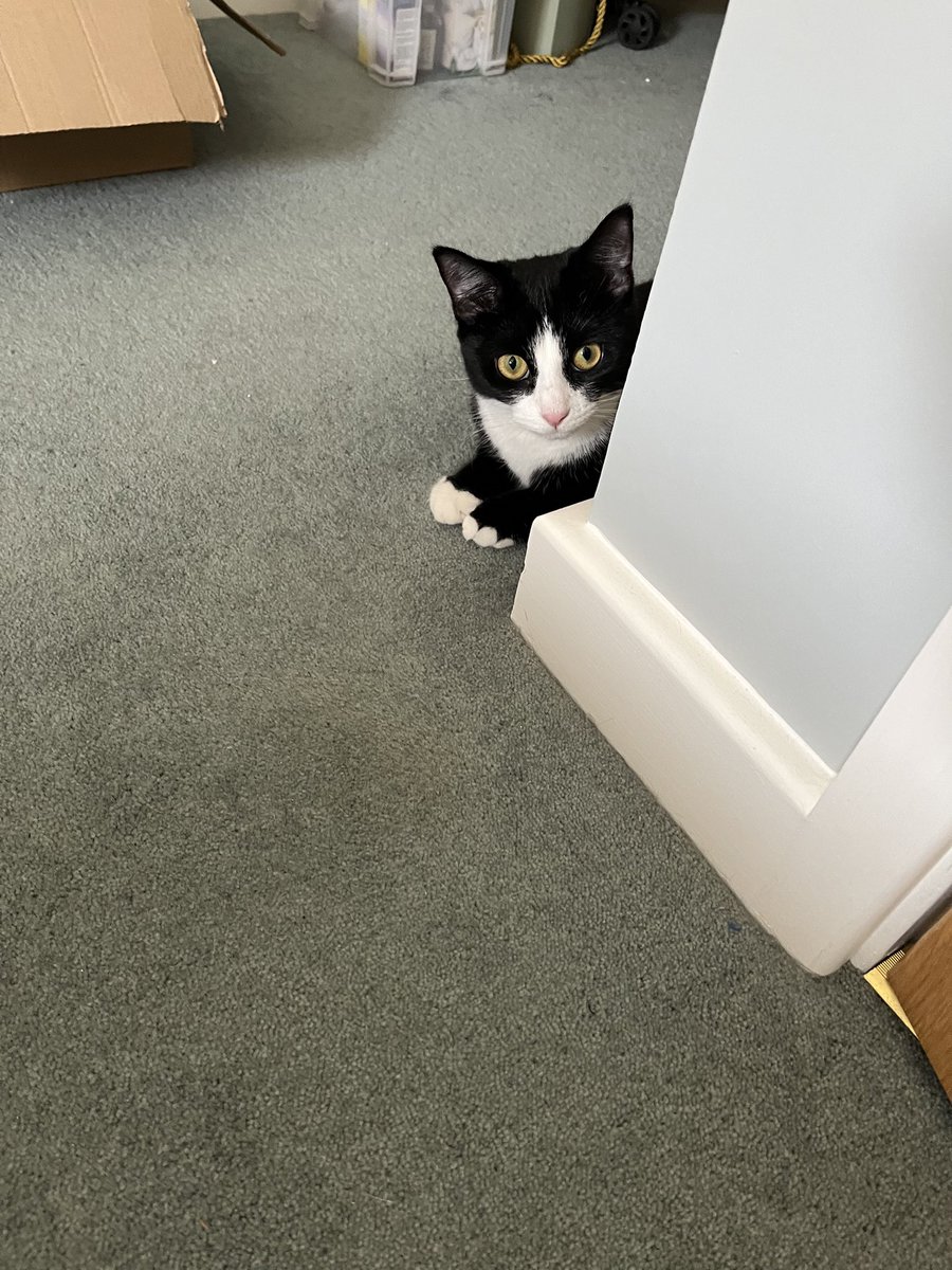 owen clark tweet media