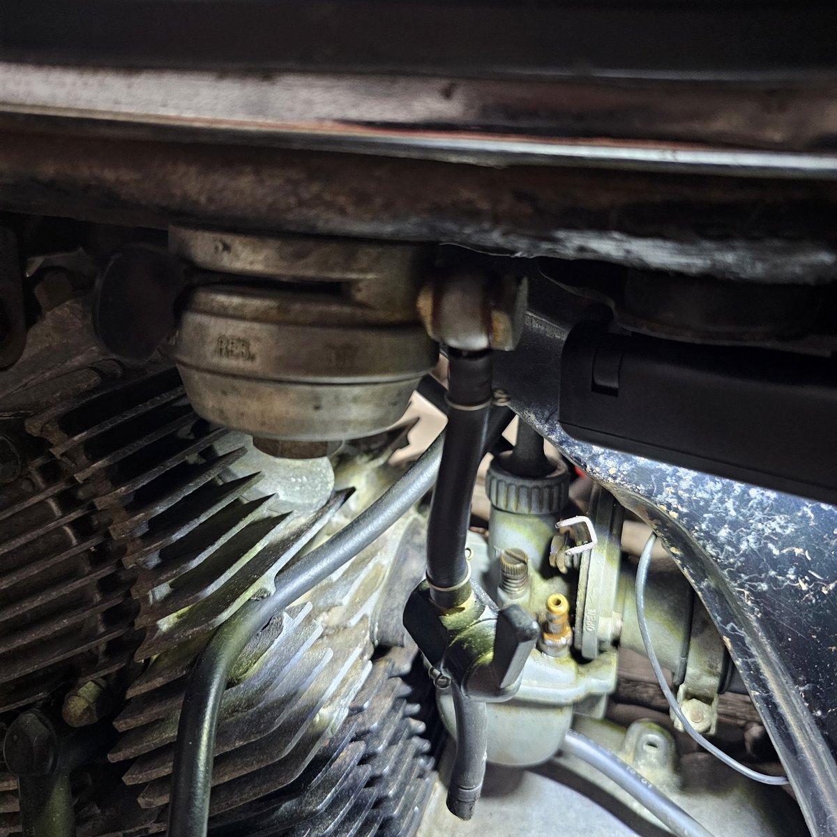 ナカレオ tweet media