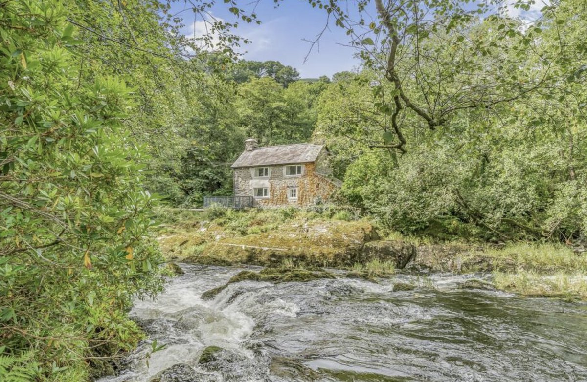 British Miss tweet media