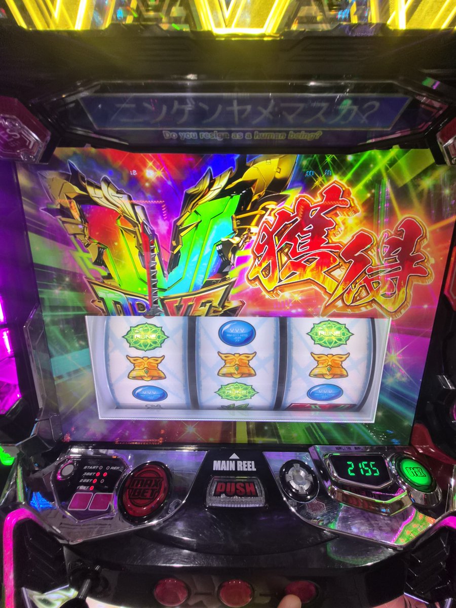 どかち tweet media