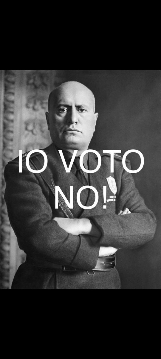 Riccardo/King-Bull-Torino tweet media