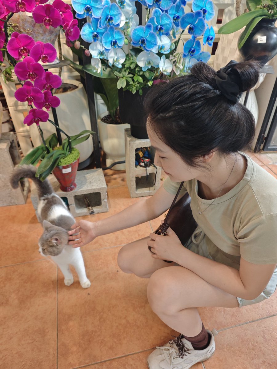 lyer (❖,❖) tweet media