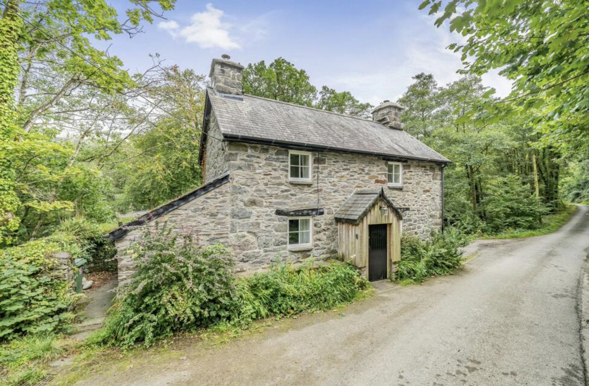 British Miss tweet media