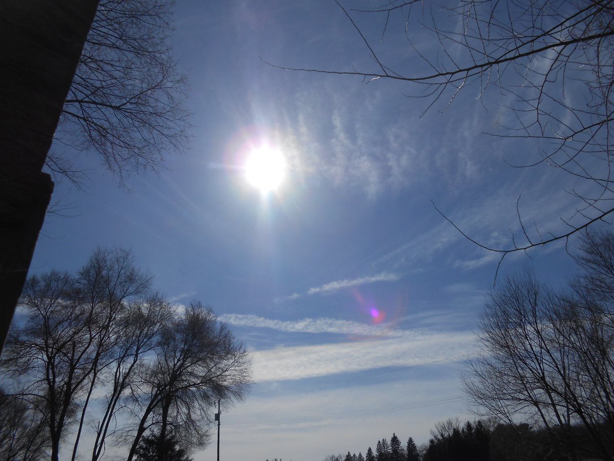 CHUCK HARRIS THE RIVER HERO tweet media