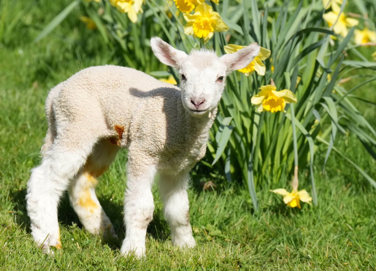 eddie mitchell tweet media