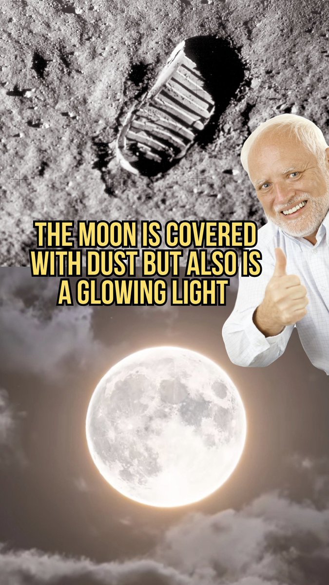 truthache tweet media