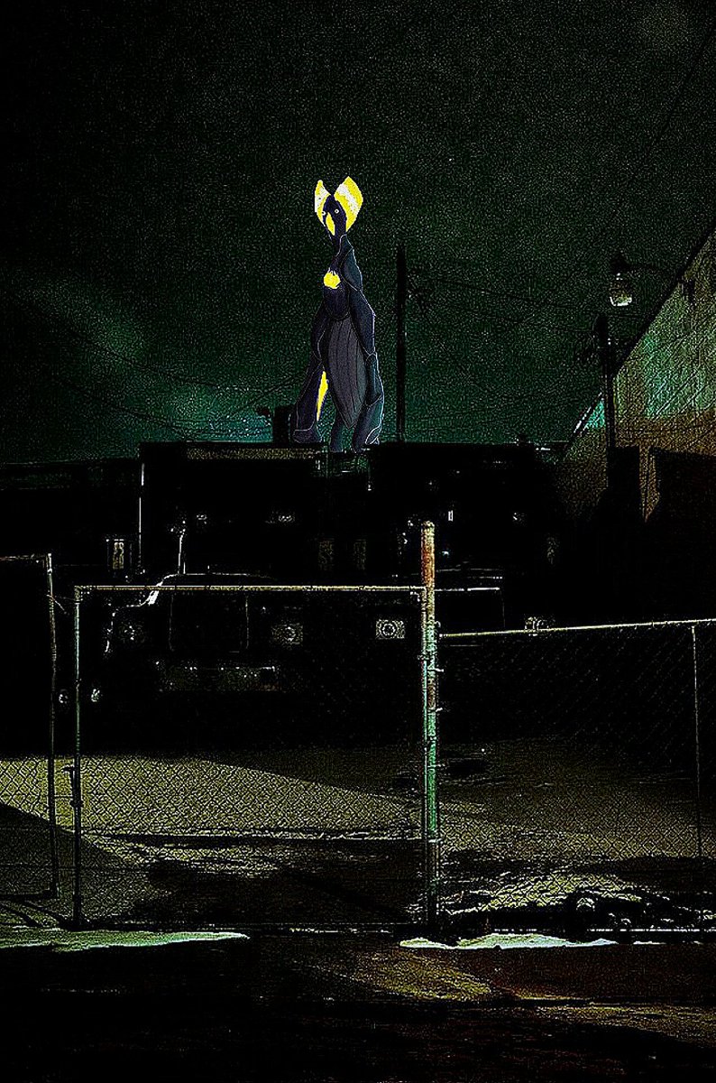 kyna681🏳️⚧️🐝 tweet media