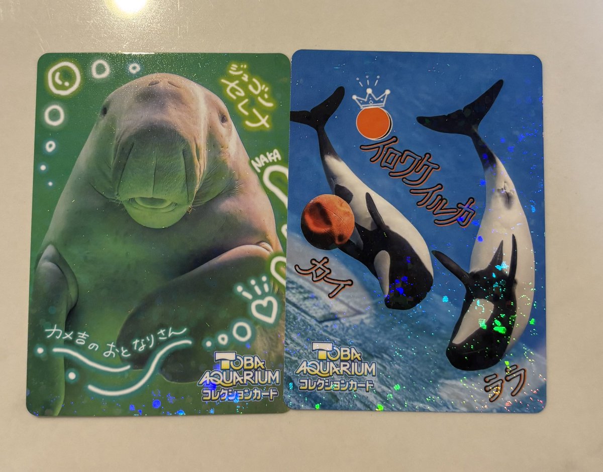 鳥羽水族館コレクションカード

ラッコさん探してます🦦
メイちゃんキラちゃんポテトくん等被ってる方いたら何かと交換しませんか？🐬
Vol.1でも嬉しいです‼︎

レアカードは２枚目の画像です！🩵

また、私が持っていないカードで交換できるものありましたらお声掛けください(^^)