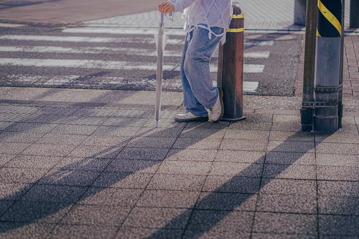 はるかわくん🐶🍎 tweet media