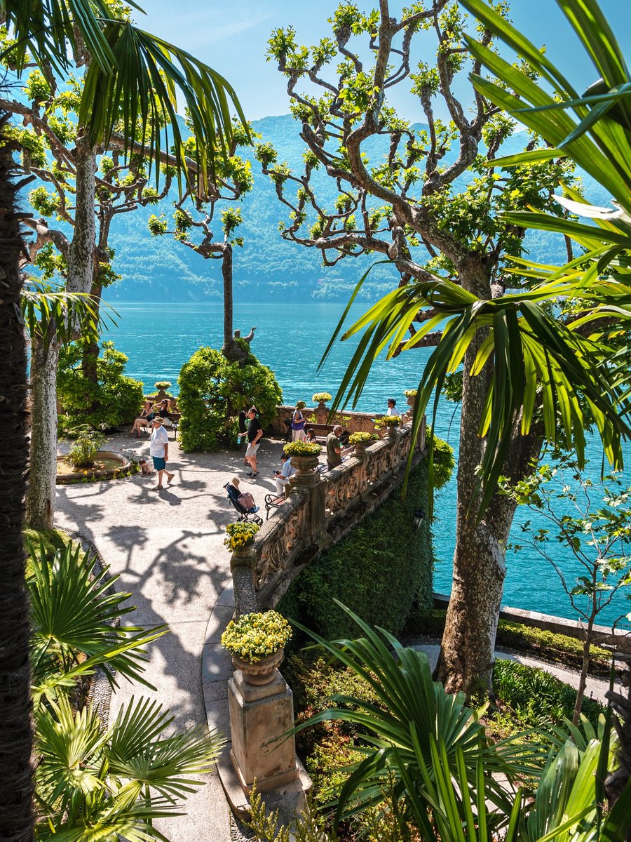 The Nature tweet media