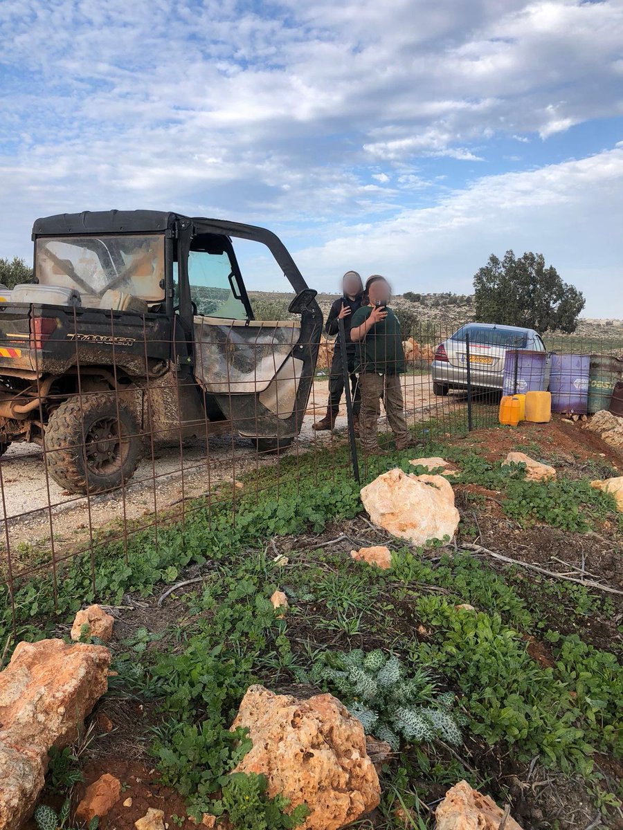 Herd of Justice tweet media