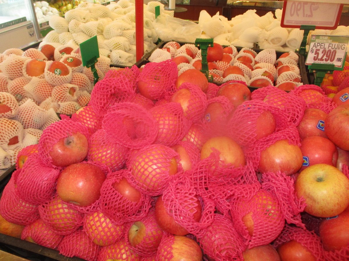 ran - jual sewa digicam tweet media