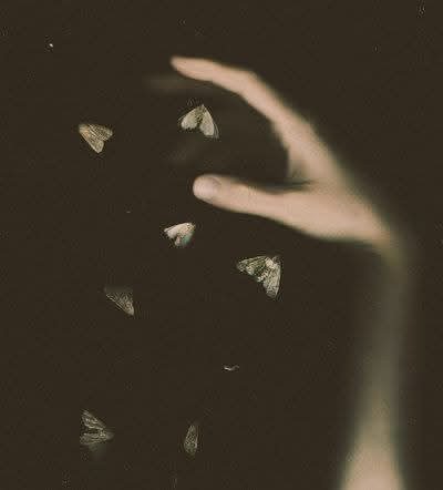 (Περσεφόνη)El jardín pierde sus hojas 🍂 tweet media