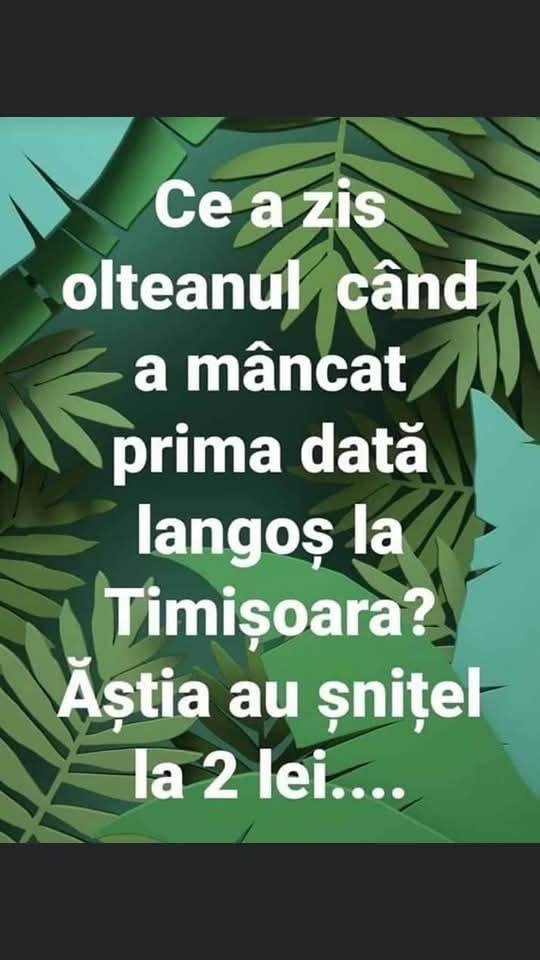 Mariana Munteanu tweet media