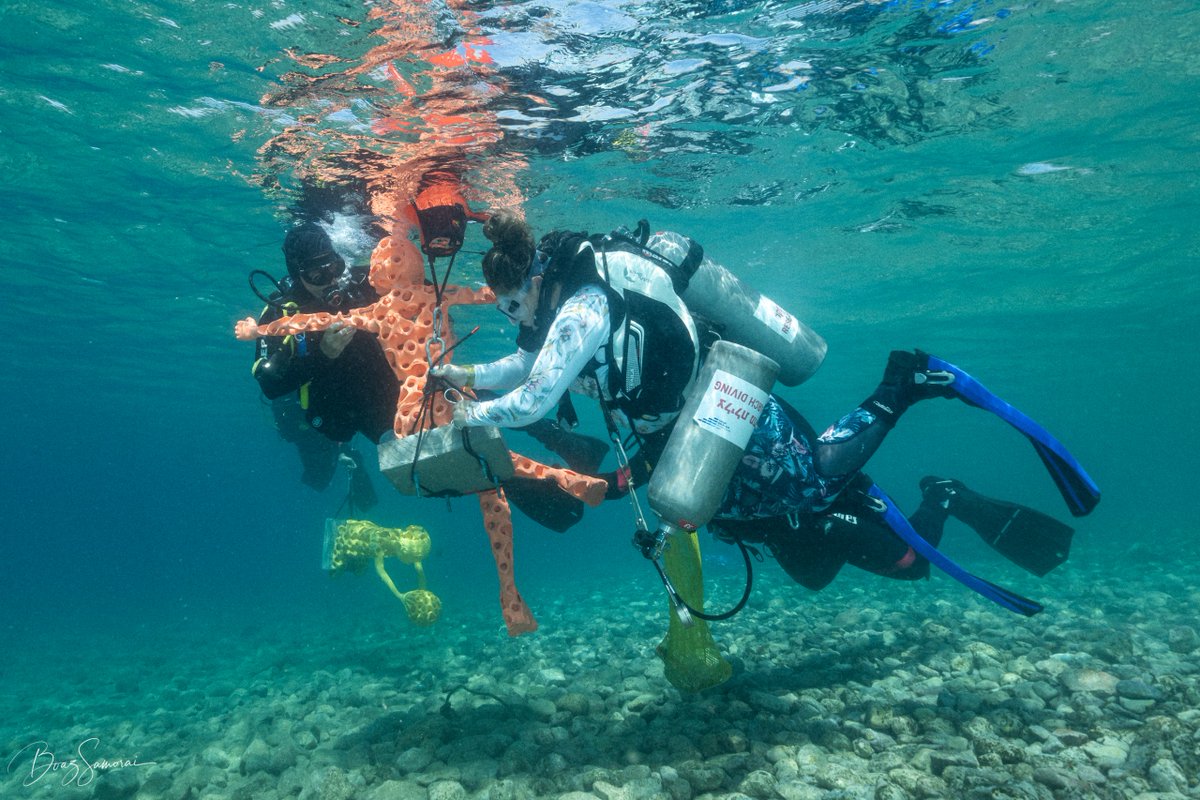 Americans for Ben-Gurion University tweet media