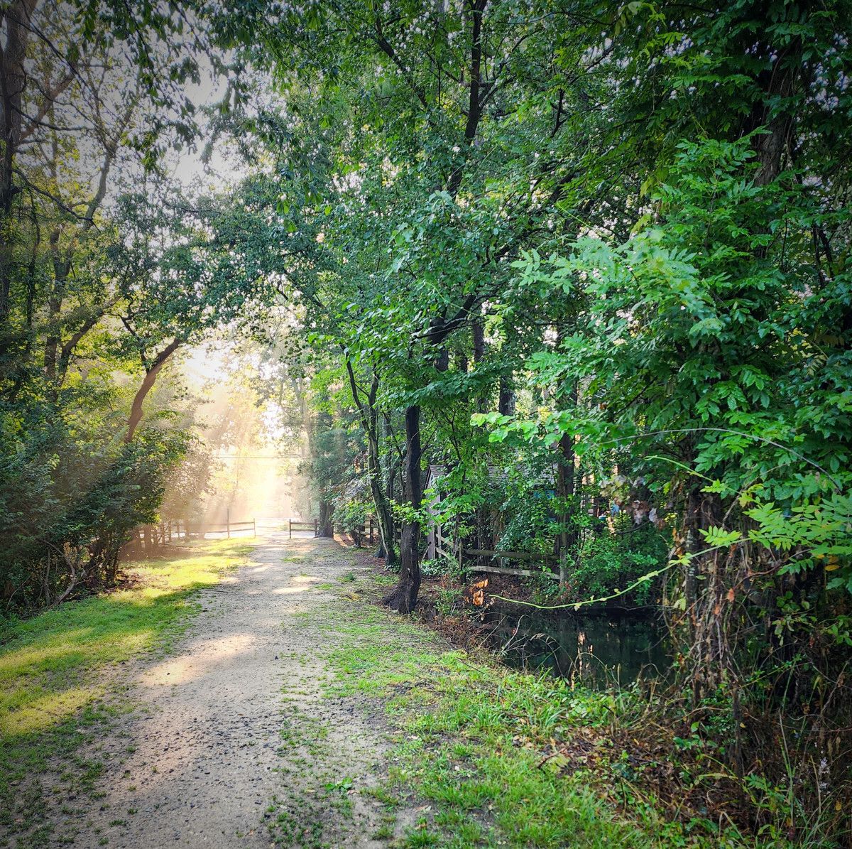 Chris Boese tweet media