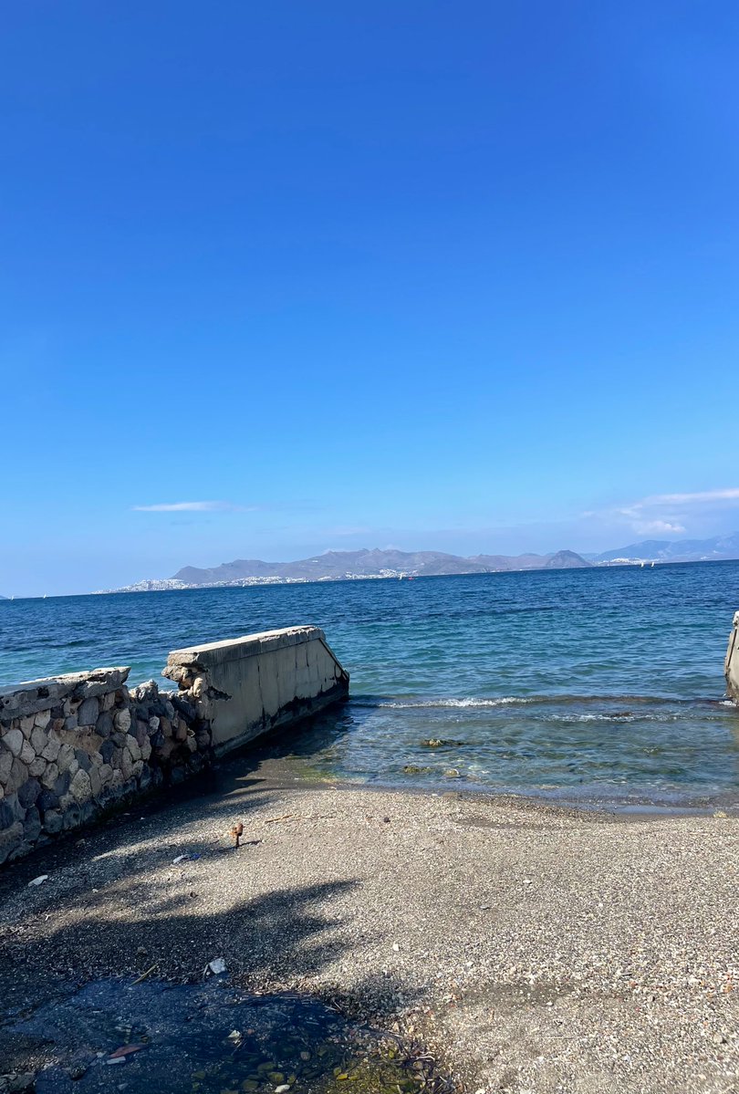 D.C.7🌊 tweet media