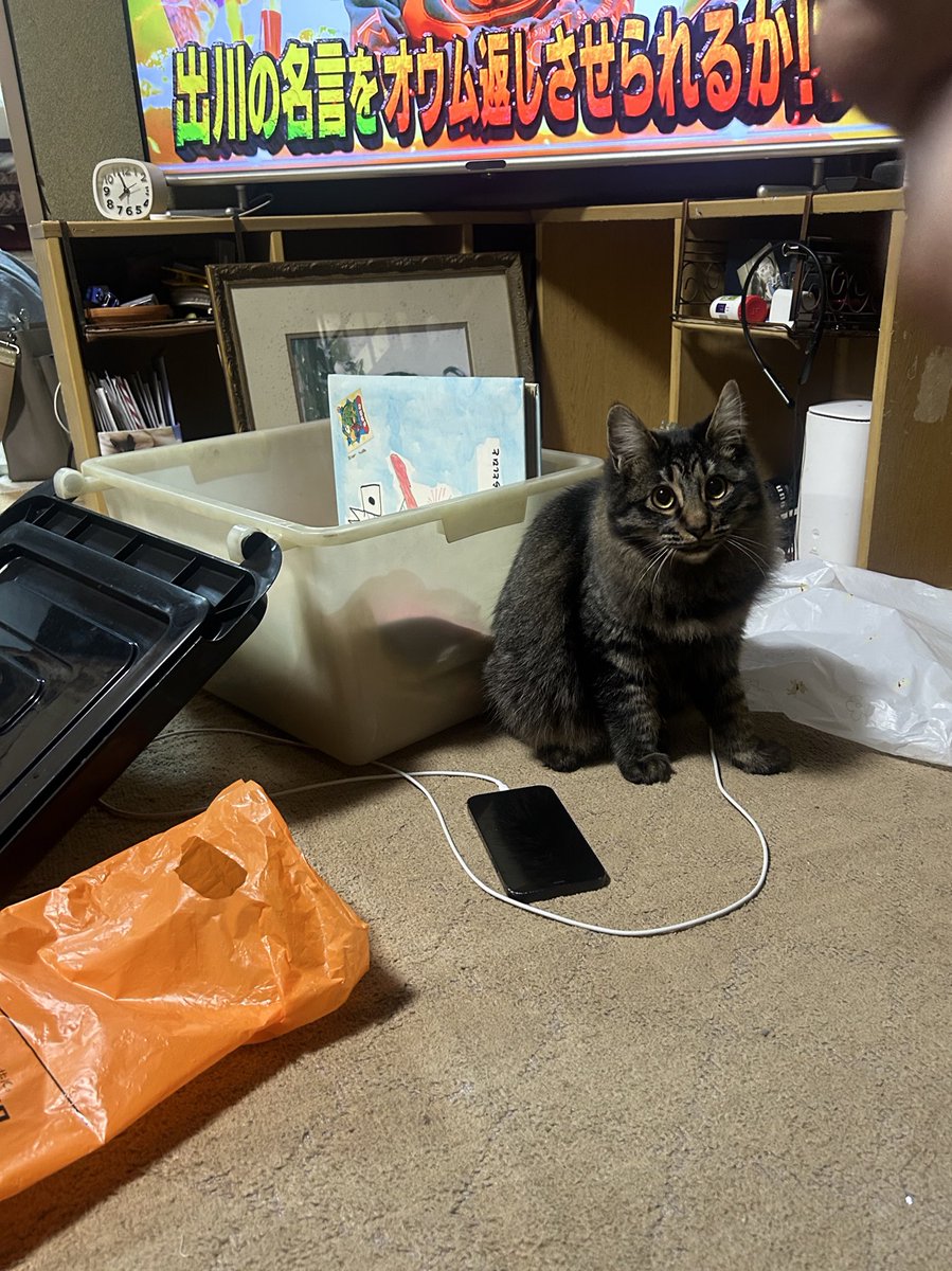 ニア様 tweet media