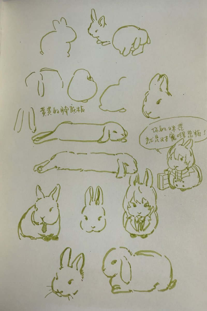 SNOW AREA tweet media