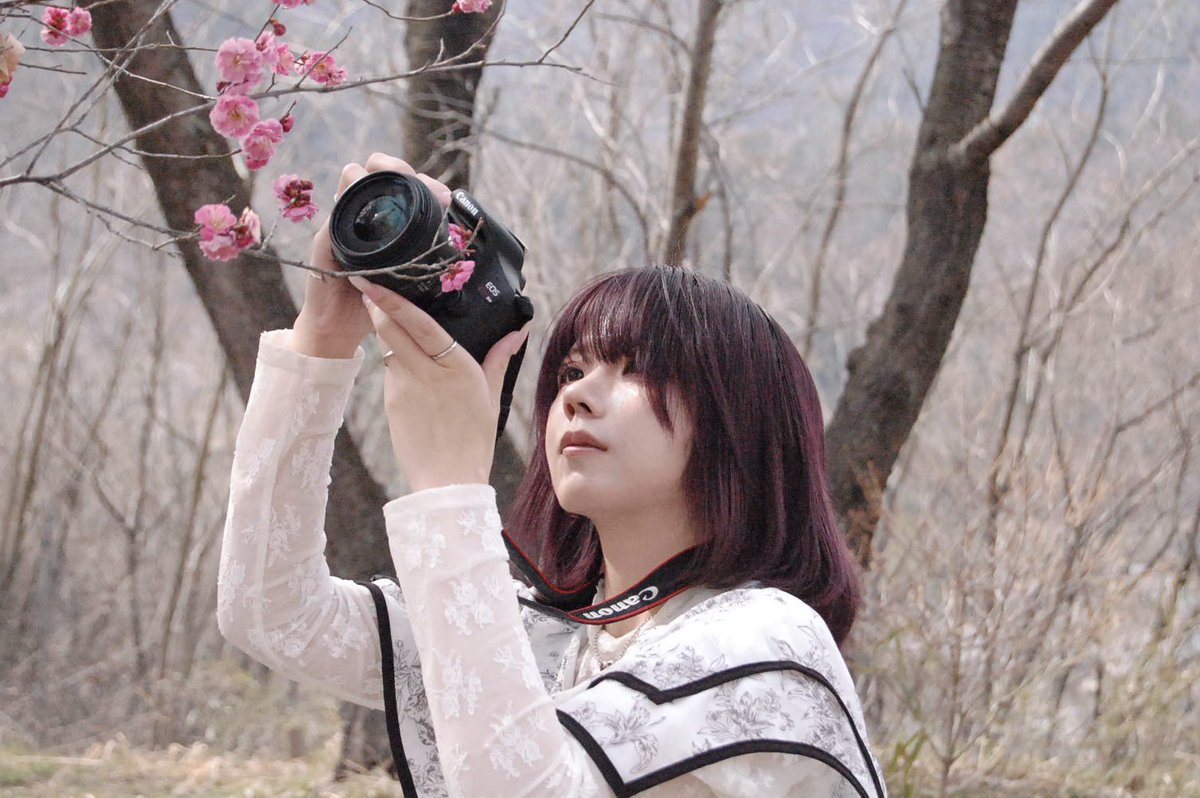 めあり tweet media